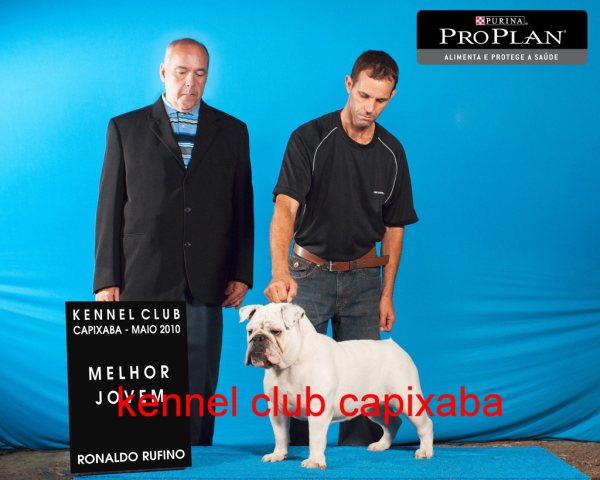 Clique sobre a foto para fechar